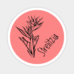 Strelitzia flower Magnet